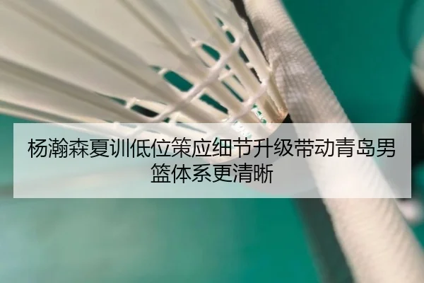 杨瀚森夏训低位策应细节升级带动青岛男篮体系更清晰